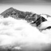 Charmant Som en noir et blanc