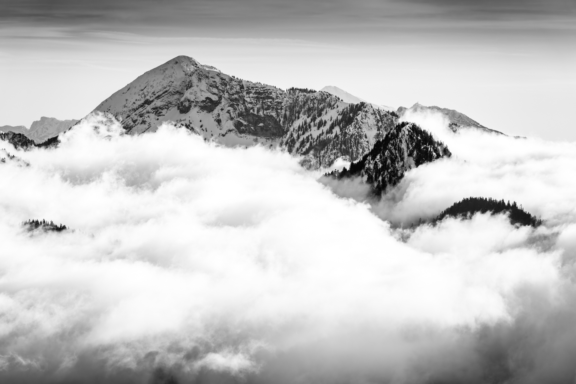 Charmant Som en noir et blanc
