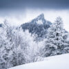 La Pinéa en hiver