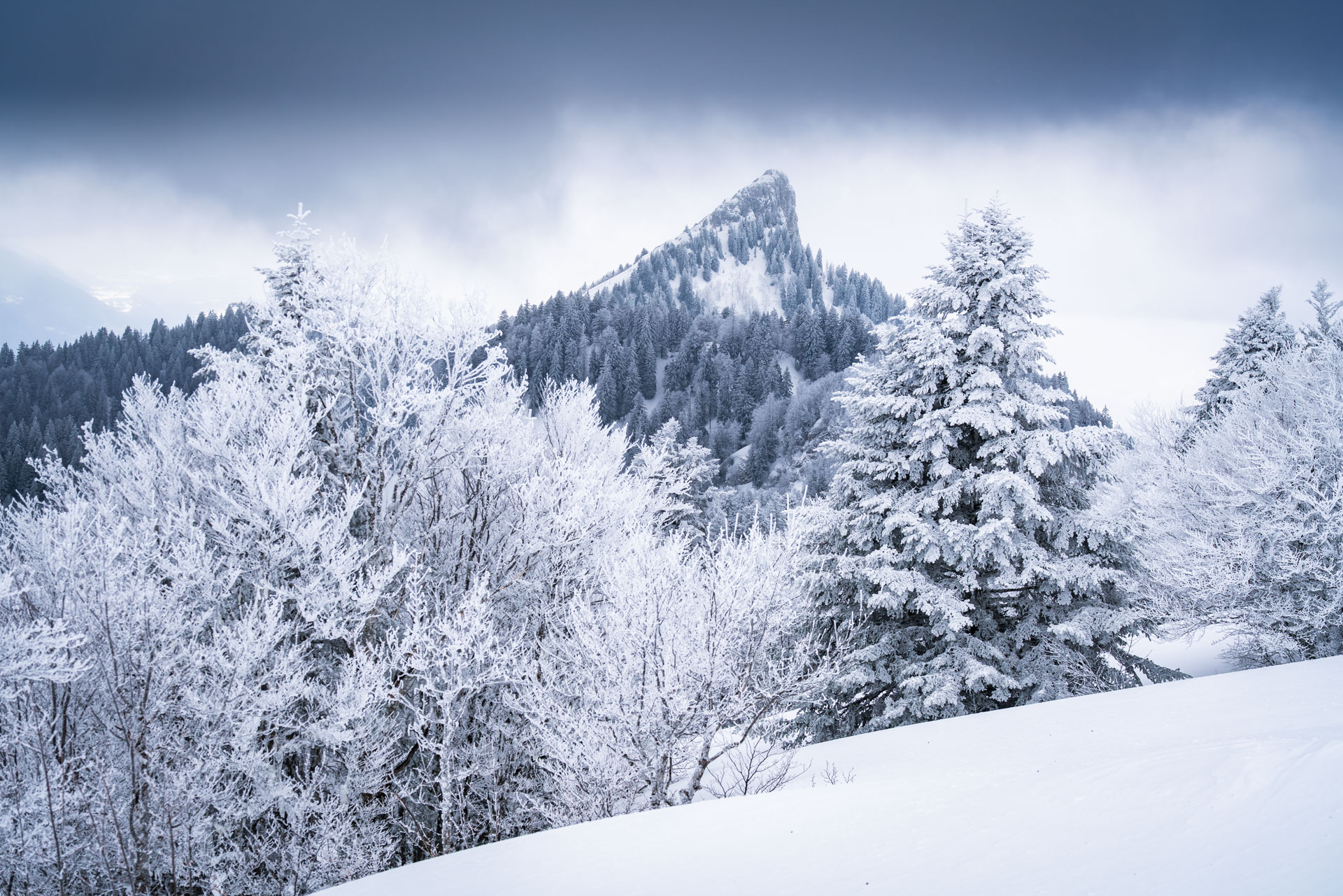 La Pinéa en hiver