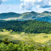 Pelouse de Derbounouse et Font d'Urle, Vercors