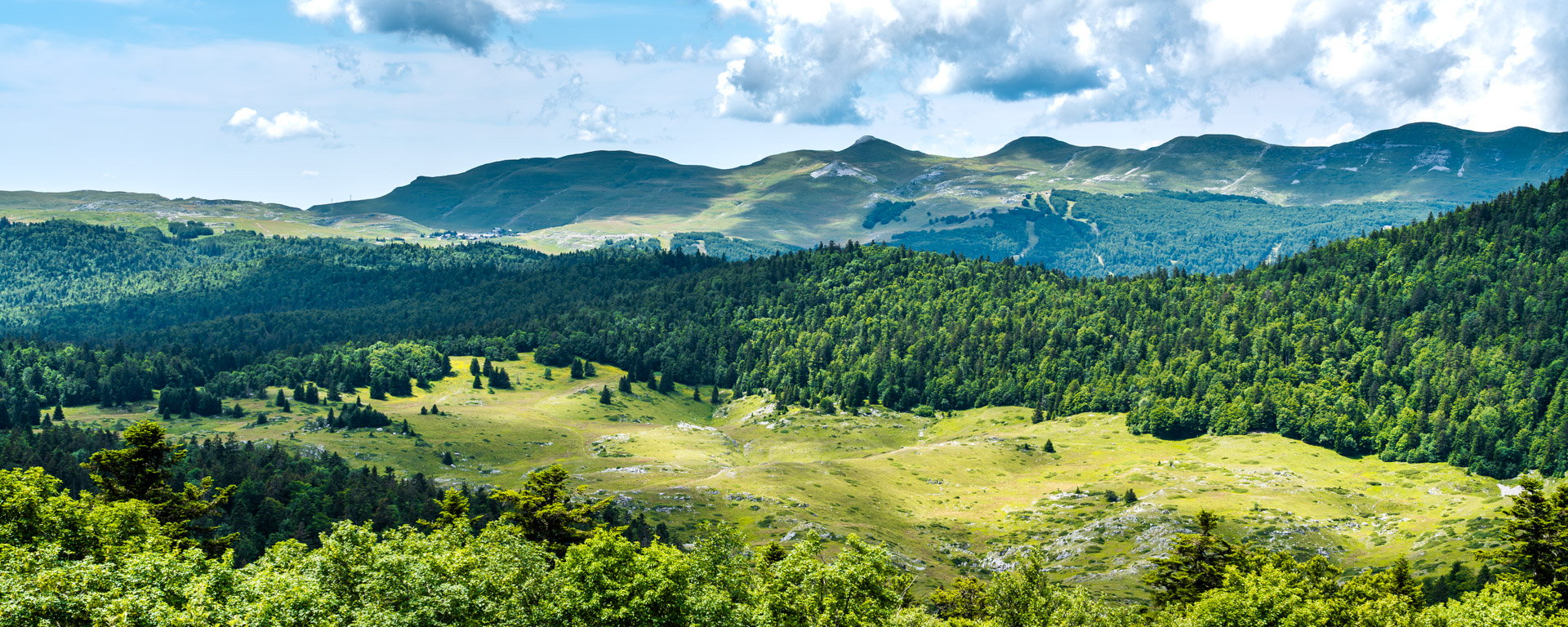 Pelouse de Derbounouse et Font d'Urle, Vercors