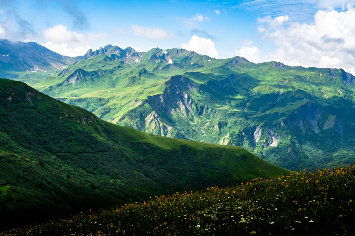 Mont Coin
